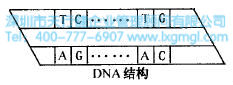 什么是六西格瑪創(chuàng)新設(shè)計的原動力