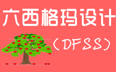 六西格瑪管設計