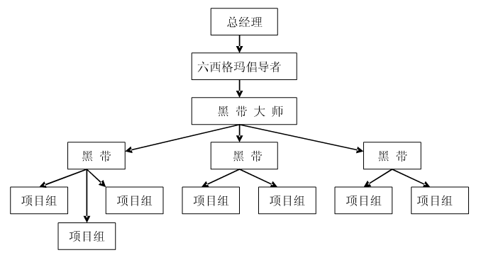 六西格瑪項目執(zhí)行團(tuán)隊的人員結(jié)構(gòu)剖析    