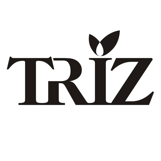 TRIZ理論與大學生創新能力的培養