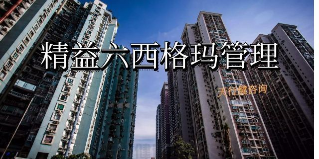 精益六西格瑪推廣方案（通用版）