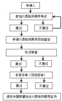 2021年度中國質量協會六西格瑪黑帶項目