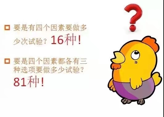 基于DOE試驗設計科學養雞