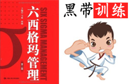 六西格瑪黑帶全套經(jīng)典培訓(xùn)PDF課程下載