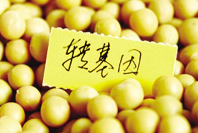 有什么方法能辨別轉基因食品